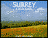 Surrey: A Portrait in Colour