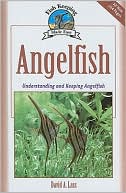 Angelfish: Basic Aquarium Setup and Maintenance