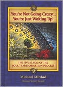 You're Not Going Crazy... You're Just Waking Up!: The Five Stages of the Soul Transformation Process
