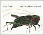 The Very Quiet Cricket