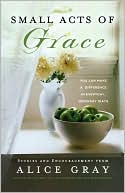 Small Acts of Grace: You Can Make a Difference in Everday, Ordinary Ways