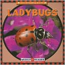 Ladybugs
