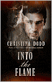 Into the Flame (Darkness Chosen Series #4)