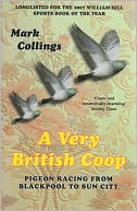 Very British Coop: Pigeon Racing in the UK
