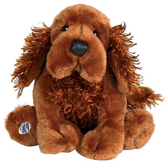 irish setter hair and coat