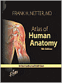 Atlas of Human Anatomy