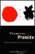 Promises, Promises: Essays on Literature and Psychoanalysis