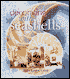 Decorating with Seashells