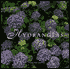 Hydrangeas