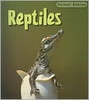 Reptiles