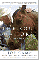 The Soul of a Horse: Life Lessons from the Herd