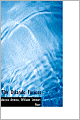 The Orlando Furioso