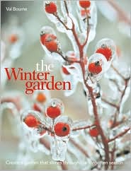 Winter Garden: Create a Garden that Shines Through the Forgotten Season