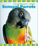 Senegal Parrots