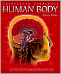 Human Body (Kingfisher Knowledge Series)