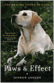 Paws and Effect: The Healing Power of Dogs