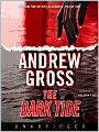 The Dark Tide (Ty Hauck Series #1)