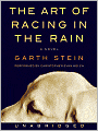 The Art of Racing in the Rain