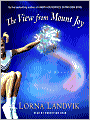 The View from Mount Joy: A Novel