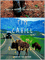 Lost in My Own Backyard: A Walk in Yellowstone National Park