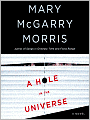 A Hole in the Universe