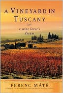 Vineyard in Tuscany