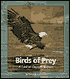 Birds of Prey: A Look at Daytime Raptors