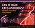 Can It Rain Cats and Dogs?