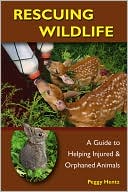 Rescuing Wildlife: A Guide to Helping Injured and Orphaned Animals