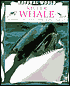 Killer Whale