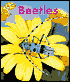Beetles