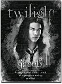Twilight Jacob 1000 piece Puzzle by NECA: Product Image