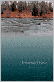 Drowned Boy: Stories