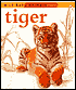 Tiger by McClanahan: Book Cover