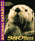 Animal Safari - Sea Otters