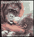 Orangutan Odyssey