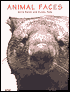 Animal Faces