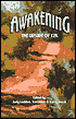 Awakening: The Upside of Y2k
