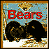 Bears