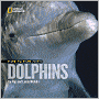 Face to Face with Dolphins