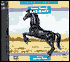 Black Beauty: The Autobiography of a Horse