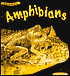 Amphibians