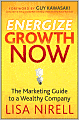 Energize Growth NOW: The Marketing Guide to a Wealthy Company