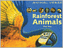 Rainforest Animals