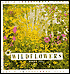 Wildflowers