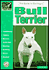 Guide to Owning a Bull Terrier