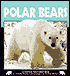 Polar Bears
