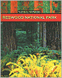Redwood National Park: Forest of Giants
