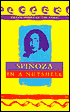Spinoza In a Nutshell