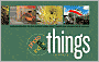 Photo Idea Index - Things: Ideas and Inspiration for Creating Professional-Quality Images Using Standard Digital Equipment